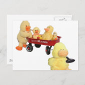 ダッキー（アヒルちゃん）フライヤー ポストカード (正面/裏面)