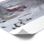 ダッキー(アヒルちゃん) ポスター (角)