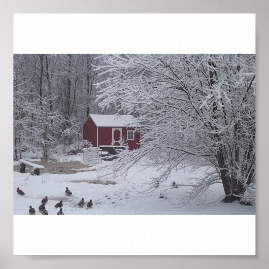 ダッキー(アヒルちゃん) ポスター (正面)