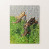 ダックおもしろいス ジグソーパズル (縦)