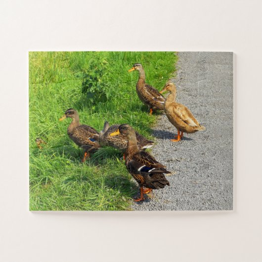 ダックおもしろいス ジグソーパズル (横)