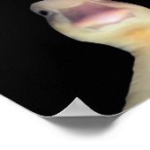 ダックおもしろいミーム:ようこそMy Crib Duck ポスター (角)