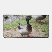 ダックさん デスクマット (正面)