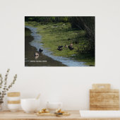 ダックつるスアウト ポスター (キッチン)