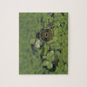 ダックウィードで大人のラナ・カテベイナ ジグソーパズル (縦)