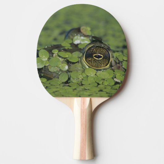 ダックウィードで大人のラナ・カテベイナ 卓球ラケット (正面)