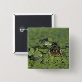 ダックウィードで大人のラナ・カテベイナ 缶バッジ (正面&裏面)