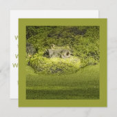 ダックウィードに潜むゲーター自然写真 招待状 (正面/裏面)