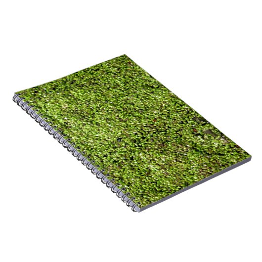 ダックウィード–377535ダックウィード水レンズ水中競技植物 ノートブック (右側)