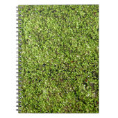 ダックウィード–377535ダックウィード水レンズ水中競技植物 ノートブック (正面)