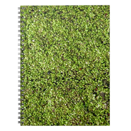 ダックウィード–377535ダックウィード水レンズ水中競技植物 ノートブック (正面)