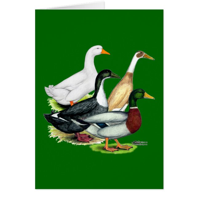 ダックカルテット (正面)