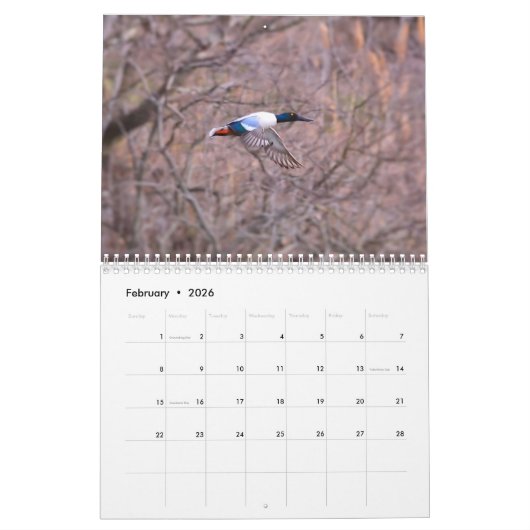 ダックカレンダー カレンダー (2月 2026)