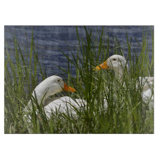 ダックガラス切断板 カッティングボード (正面)