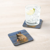 ダックコースター コースター (右側)