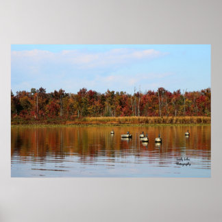 ダックシーズン ポスター