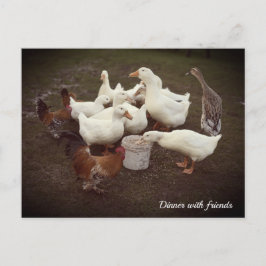 ダックスとチキンおもしろいのディナータイムハガキ シーズンポストカード