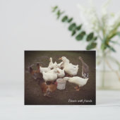 ダックスとチキンおもしろいのディナータイムハガキ シーズンポストカード (スタンド正面)