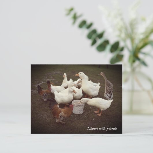ダックスとチキンおもしろいのディナータイムハガキ シーズンポストカード (スタンド正面)