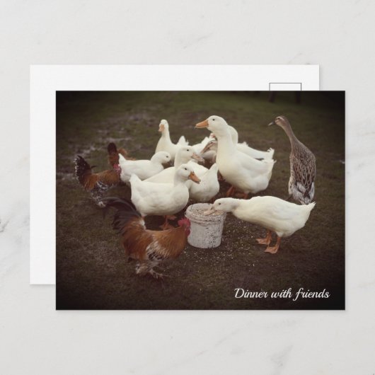 ダックスとチキンおもしろいのディナータイムハガキ シーズンポストカード (正面/裏面)