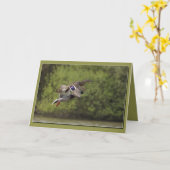 ダックスカードの中括弧 カード (黄色い花)