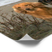 ダックスクローズアップビーチポスター ポスター (角)