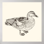 ダックスケッチ ポスター (正面)