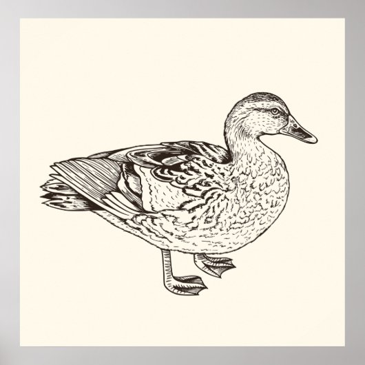 ダックスケッチ ポスター (正面)