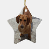 ダックスシャンドクリスマスオーナメントスターカスタム セラミックオーナメント (右)