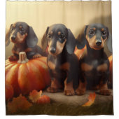 ダックスシャンドパピーオータムデライトカボチャ シャワーカーテン (正面)