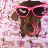 ダックスシャンドピンクフローラ毛布ウィナードッグラブ フリースブランケット