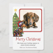 ダックスシュントとクリスマスツリーペットドッグワンフォト シーズンカード (正面)