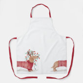 ダックスシュントのクリスマスドッグ居心地の良いセーターとライト エプロン (正面)