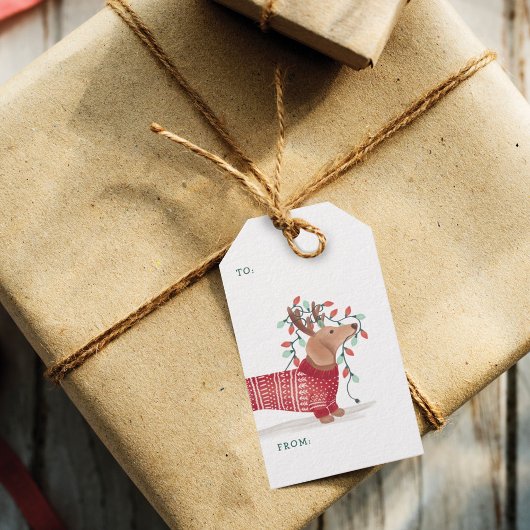 ダックスシュントのクリスマスドッグ居心地の良いセーターとライト ギフトタグ