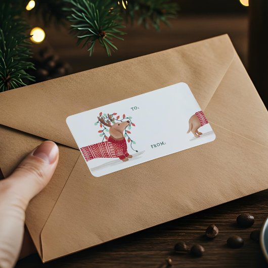 ダックスシュントのクリスマスドッグ居心地の良いセーターとライト ラベル