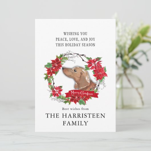 ダックスシュントのタンウォーターカラーポインセチアのクリスマス シーズンカード (スタンド正面)