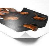 ダックスシュントのマイポケットウィーナー犬 フォトプリント            (角)