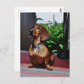 ダックスシュントはカントリーハウスのポーチオン誕生日 ポストカード (正面/裏面)