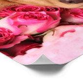 ダックスシュント子犬バラに囲まれた ポスター (角)