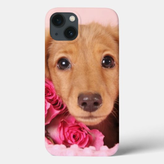 ダックスシュント子犬バラに囲まれた Case-Mate iPhoneケース (裏面)