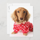 ダックスシュント子犬バレンタインの衣装を着て シーズンポストカード (正面/裏面)