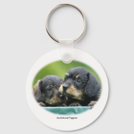 ダックスシュント子犬9W027D-093 キーホルダー (正面)