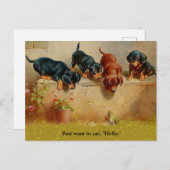 ダックスシュント子犬、カエル、ハローアルトヴィンテージアートコピー ポストカード (正面/裏面)