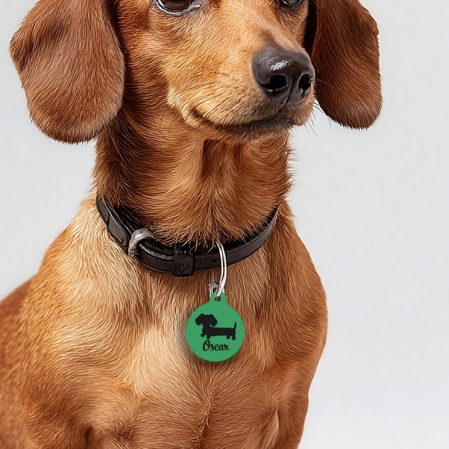 ダックスシュント安全ラベルウィーナードッグラベル パーソナライズされた ペット　ネームタグ (wiener dog puppy gift - dog ID tags for safety Green - lots of color options)