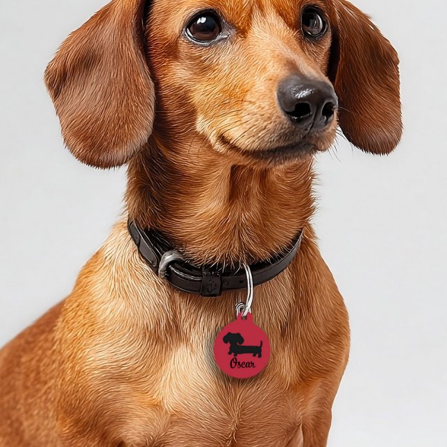 ダックスシュント安全ラベルウィーナードッグラベル パーソナライズされた ペット　ネームタグ (Wiener dog new puppy gift - dachshund personalized ID dog tag)