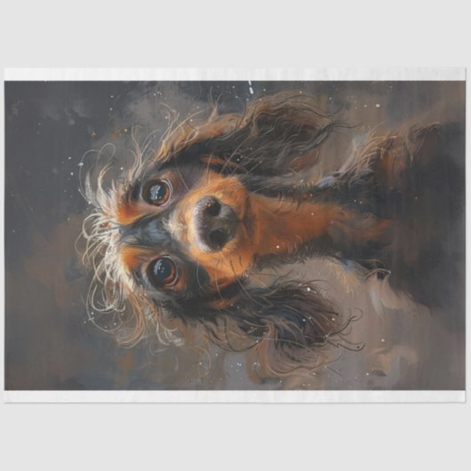 ダックスシュント相棒ウィグレスワードッグデコップページ 薄葉紙 (正面)