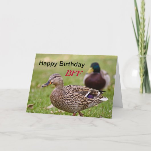 ダックスハッピーバースデーBFFカード カード (正面)
