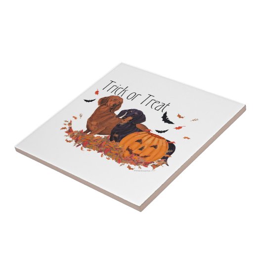 ダックスハロウィーン タイル (側面)