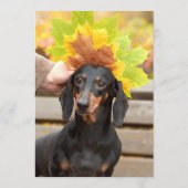 ダックスバー メニュー (裏面)