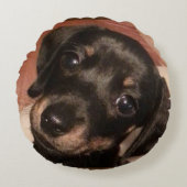 ダックスフントによってブラシをかけられる多円形の装飾用クッション(16") ラウンドクッション (正面)
